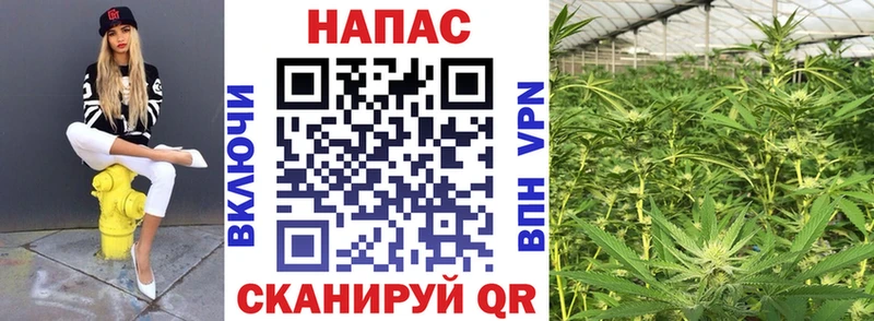 Бошки марихуана семена  Череповец 